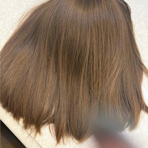 Light Brown Women Hair Extensions / Wig - Natural Finish